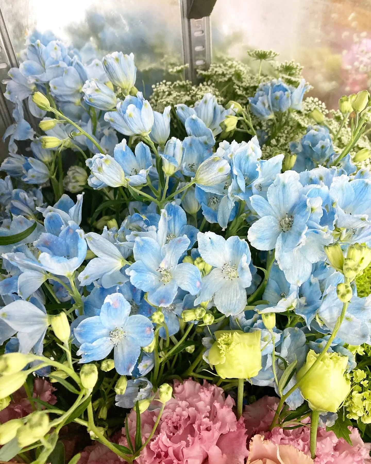 お花、入荷しました。