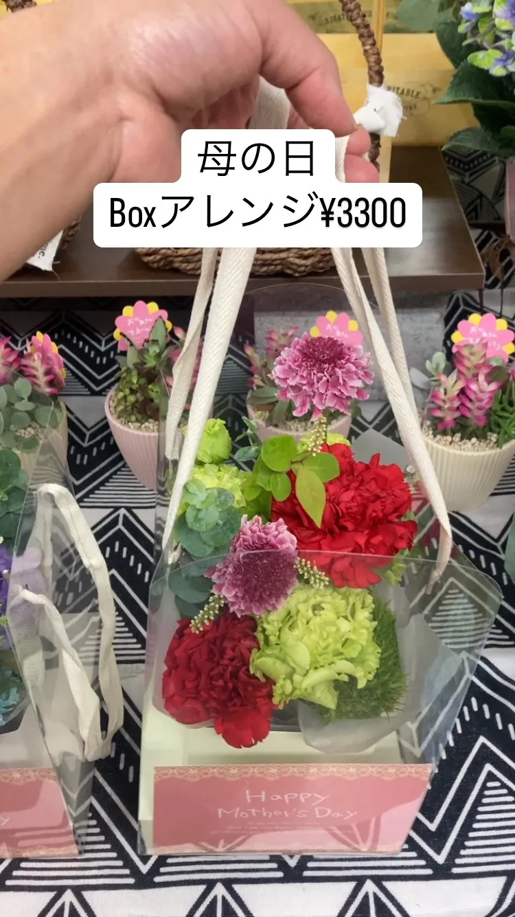 Boxアレンジ。